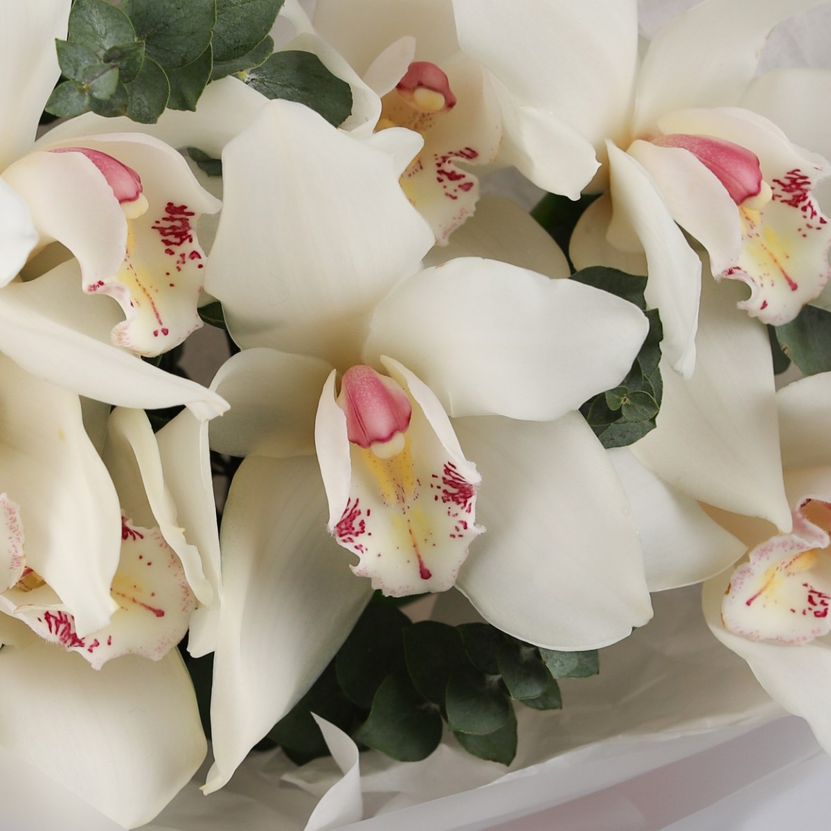 belaya orhideya buket  7